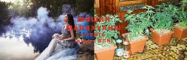 герыч Бородино