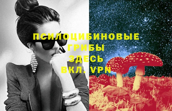 герыч Бородино