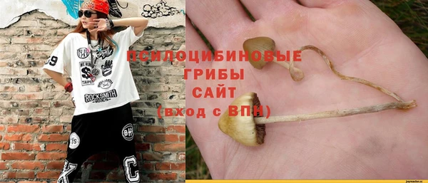 герыч Бородино