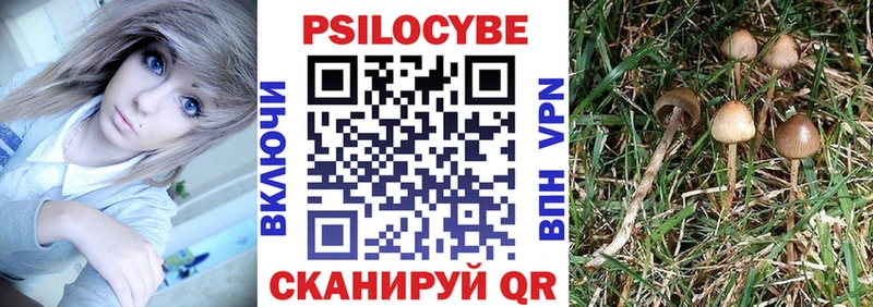 Галлюциногенные грибы Magic Shrooms Сретенск